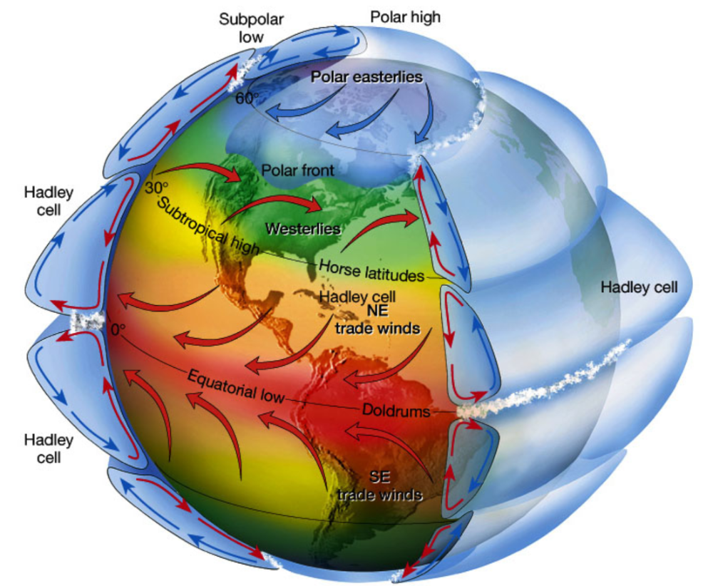 Fy1: Coriolis effekt och globala vindcirkulationer